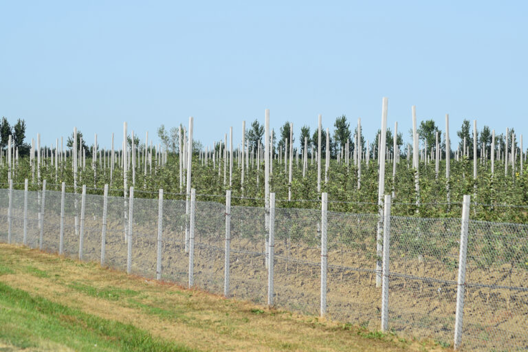 Harvest Pillar Farm Application